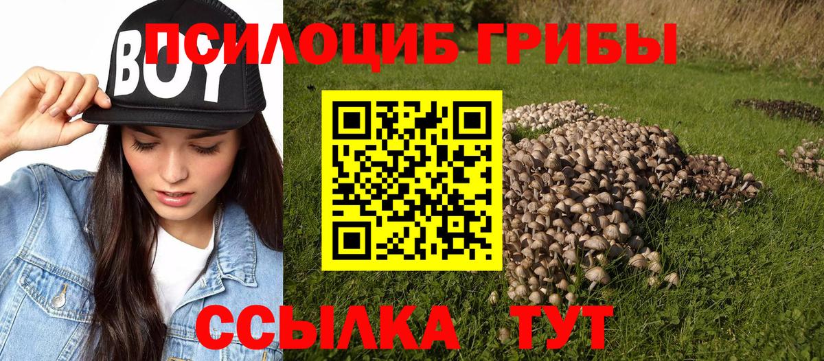 наркотики  Галлюциногенные грибы Psilocybe  Вход с VPN  Апатиты 